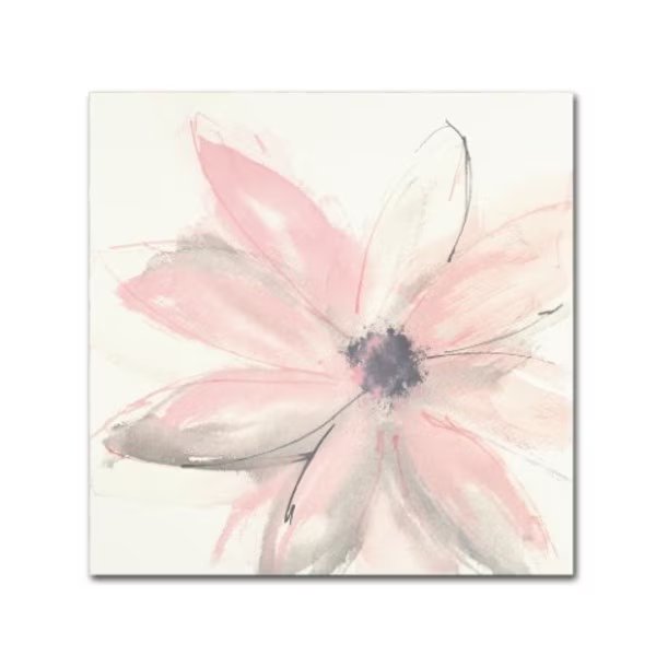 Chris Paschke 'Blush Clematis I' Canvas Art, 24x24, Trademark Fine Art, Mfr#: WAP02119-C2424GG